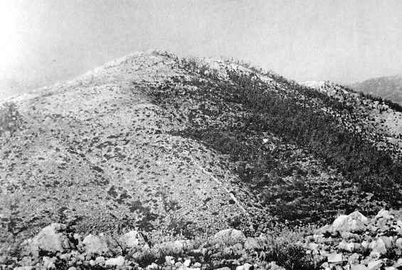 <p>Il monte Maio, visto dal colle Cerasola.</p>